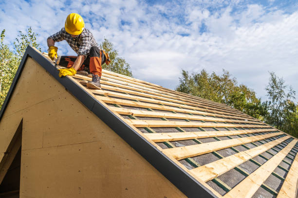 Best Roof Maintenance Services  in Marshfield, WI