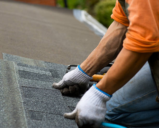 Best Local Roofing Companies  in Marshfield, WI